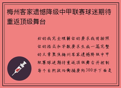 梅州客家遗憾降级中甲联赛球迷期待重返顶级舞台 梅州客家遗憾降级中甲联赛球迷期待重返顶级舞台